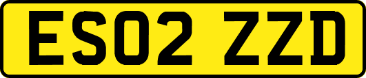 ES02ZZD