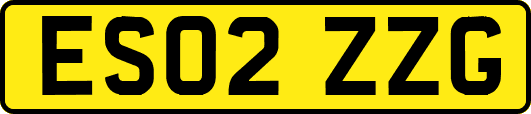 ES02ZZG