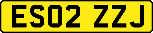 ES02ZZJ