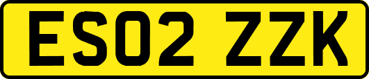 ES02ZZK