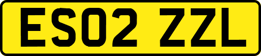 ES02ZZL