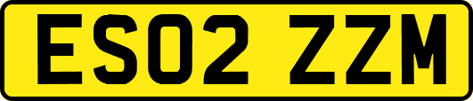 ES02ZZM