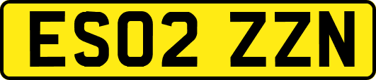 ES02ZZN