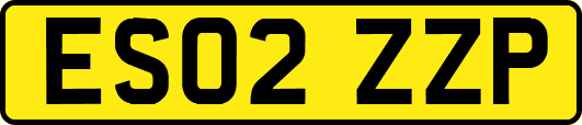ES02ZZP