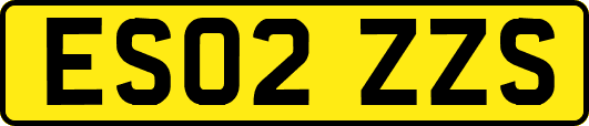 ES02ZZS