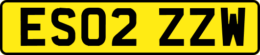 ES02ZZW