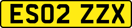 ES02ZZX
