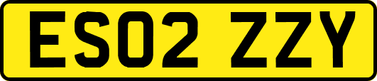ES02ZZY
