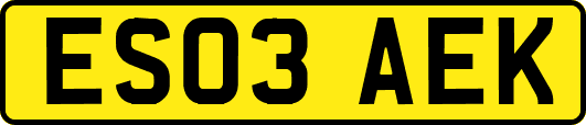 ES03AEK