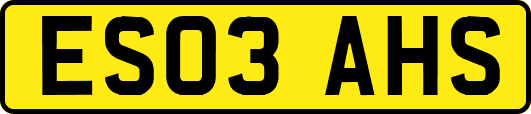 ES03AHS