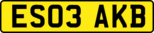 ES03AKB