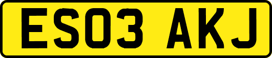ES03AKJ