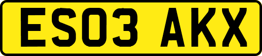 ES03AKX