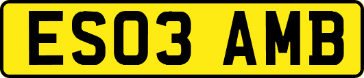 ES03AMB