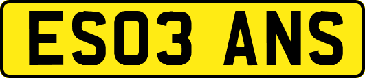 ES03ANS