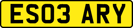 ES03ARY