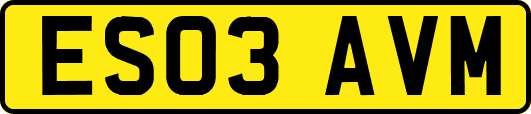 ES03AVM