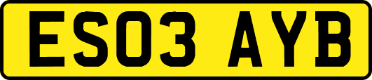 ES03AYB