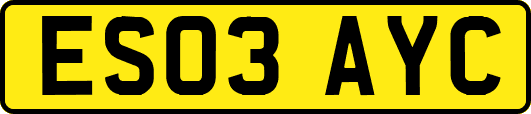 ES03AYC
