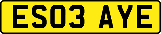 ES03AYE