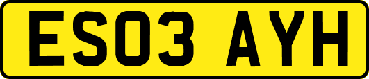 ES03AYH