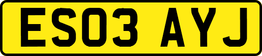 ES03AYJ