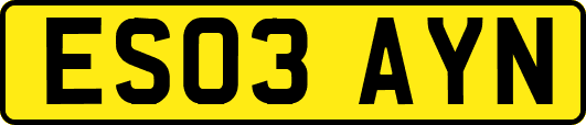 ES03AYN
