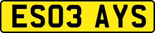 ES03AYS