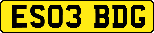 ES03BDG