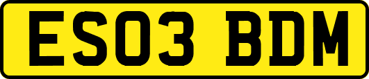 ES03BDM