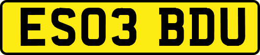 ES03BDU