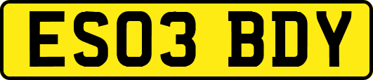 ES03BDY
