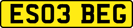 ES03BEG