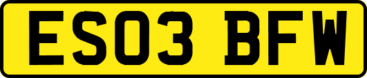 ES03BFW