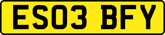 ES03BFY