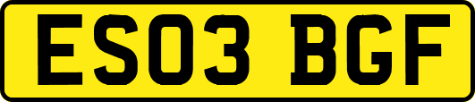 ES03BGF