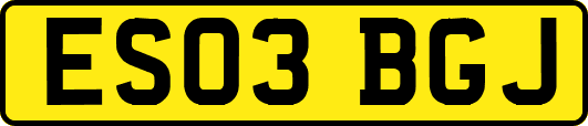 ES03BGJ