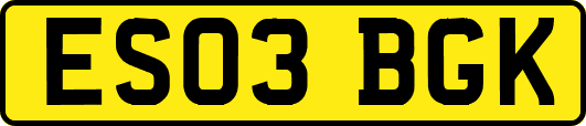 ES03BGK