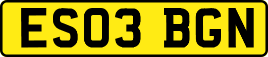 ES03BGN