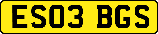 ES03BGS