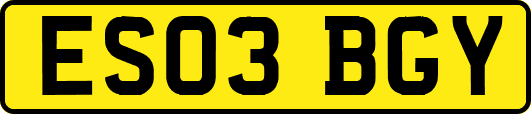 ES03BGY