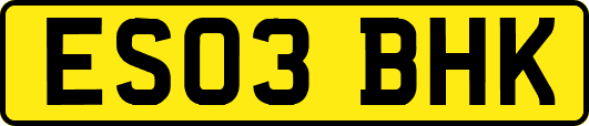 ES03BHK