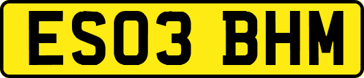 ES03BHM