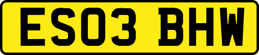 ES03BHW