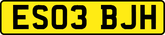 ES03BJH
