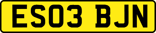 ES03BJN
