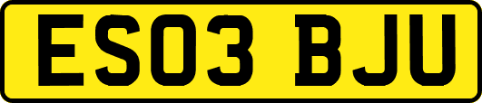 ES03BJU