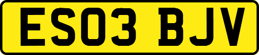 ES03BJV