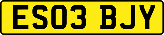 ES03BJY