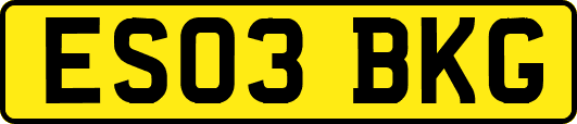 ES03BKG